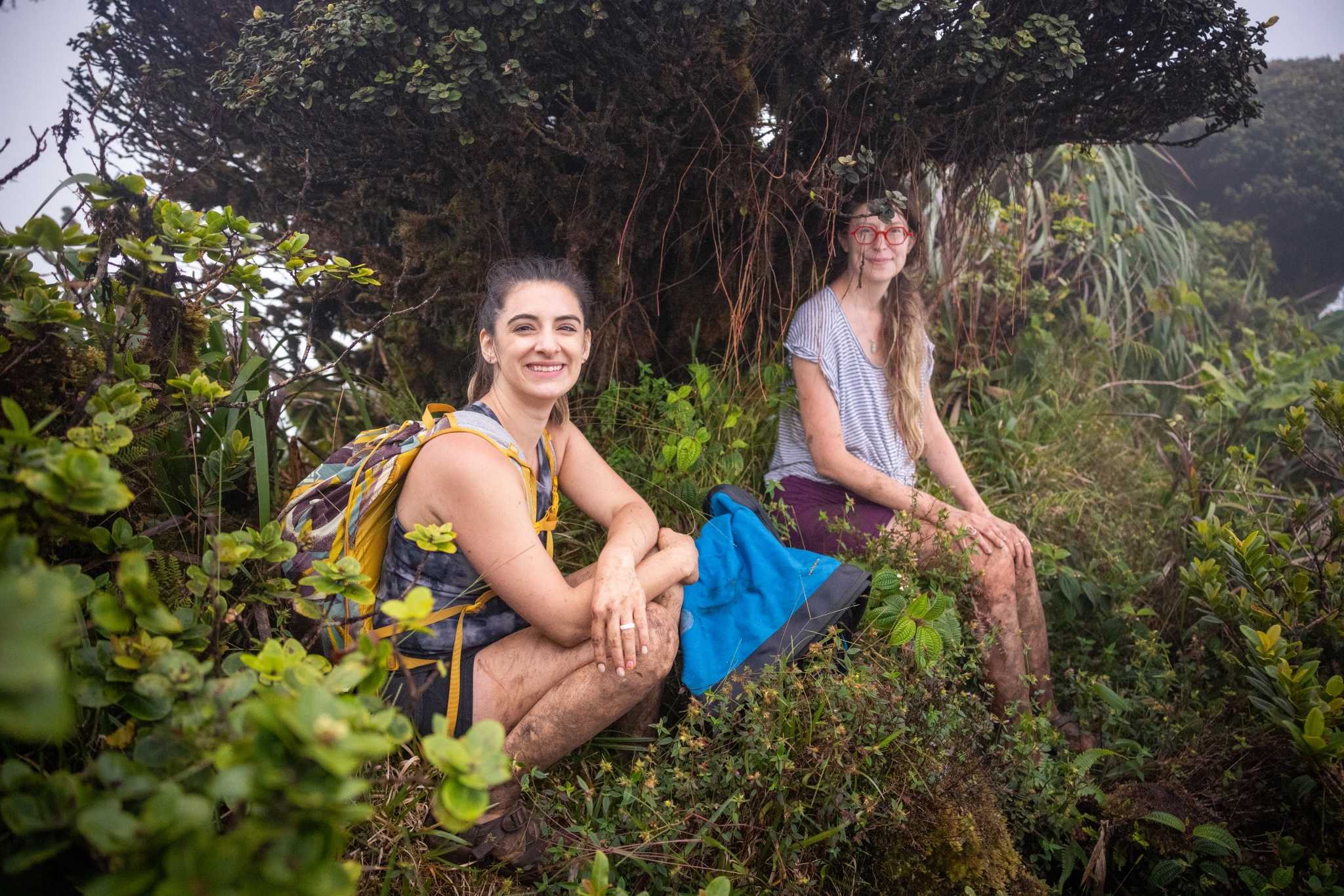 Two women sitting under a tree on the top of a mountain.