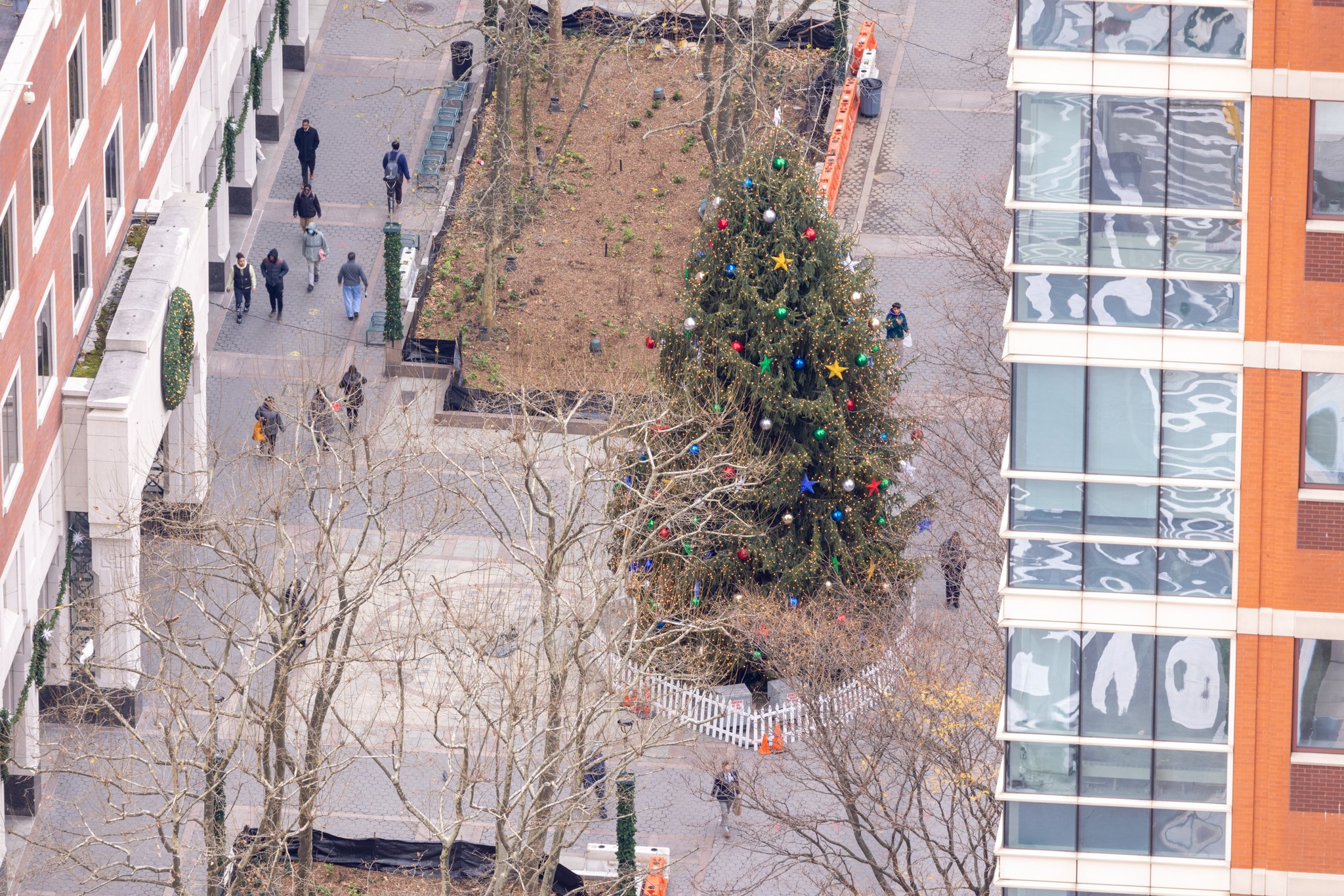 A Christmas tree at Brooklyn Commons photographed at 302mm