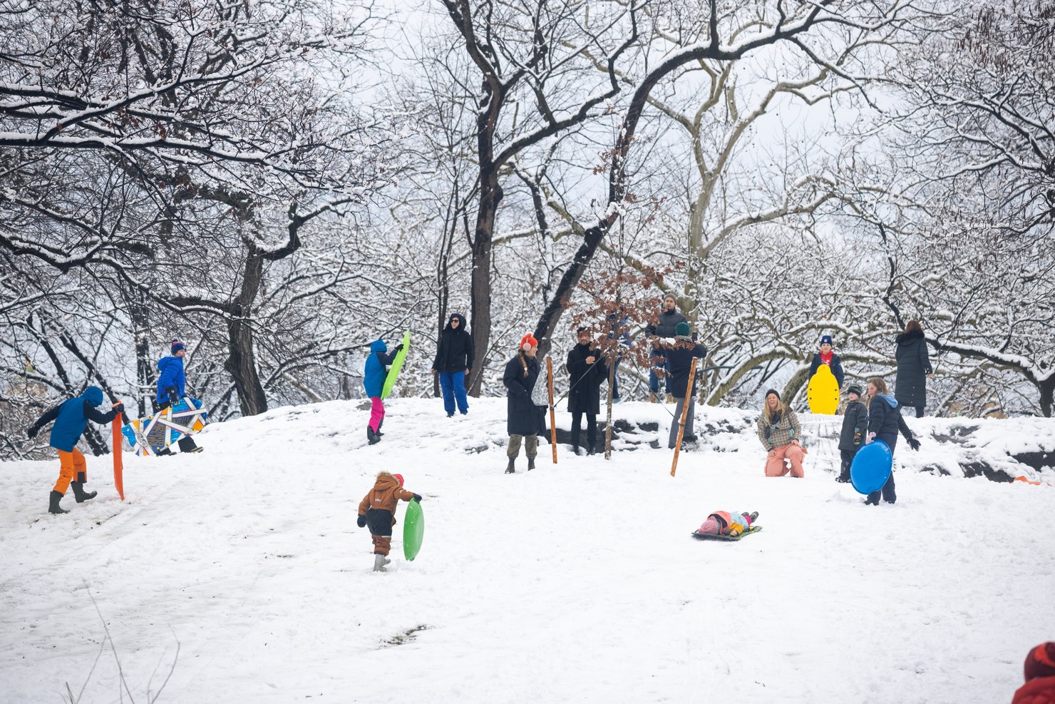 Several people at the top of a hill in Central Park carrying sleds.