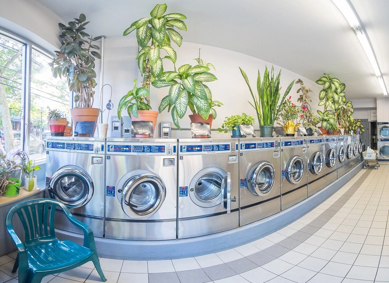 The interior of a laundromat during the day. There are plants on top of the washing machines.