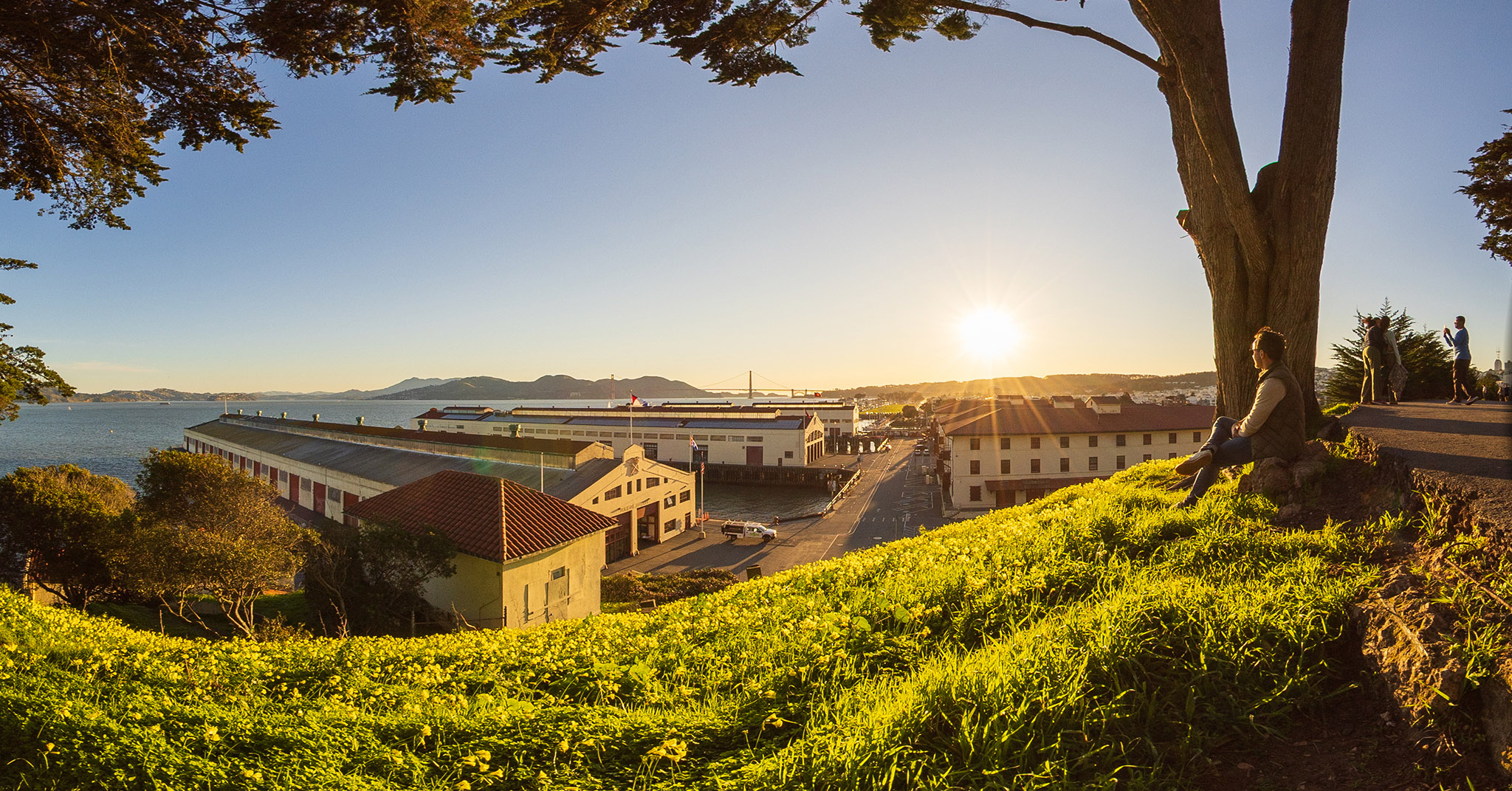 A man sits on top of a hill in front of yellow flowers, watching the sun set behind the Golden Gate Bridge.